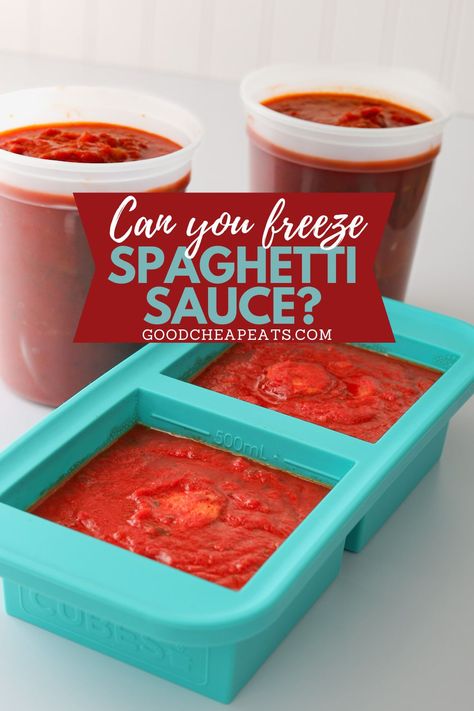 Whether you make a batch of homemade spaghetti sauce or have leftover sauce in a jar from the store, freezing spaghetti sauce is a great way to avoid food waste, save money, and have a yummy pasta sauce ready and waiting for your next craving. Learn these quick and simple ways to freeze pasta sauce. Freeze Spaghetti Sauce, Freezing Spaghetti, Yummy Pasta Sauce, Can You Freeze Pasta, Spagetti Sauce Recipe, Freeze Spaghetti, Freeze Pasta, Freezing Pasta, Slow Cooker Spaghetti Sauce