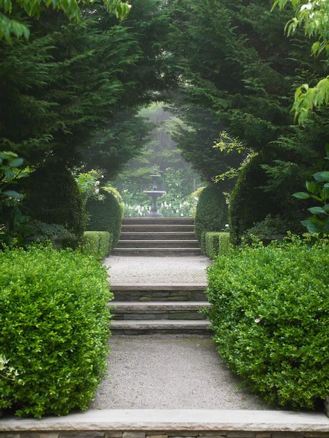 . Estate Garden, Garden Steps, Formal Garden, Garden Elements, Formal Gardens, Gorgeous Gardens, Landscape Architect, Shade Garden, Lush Green