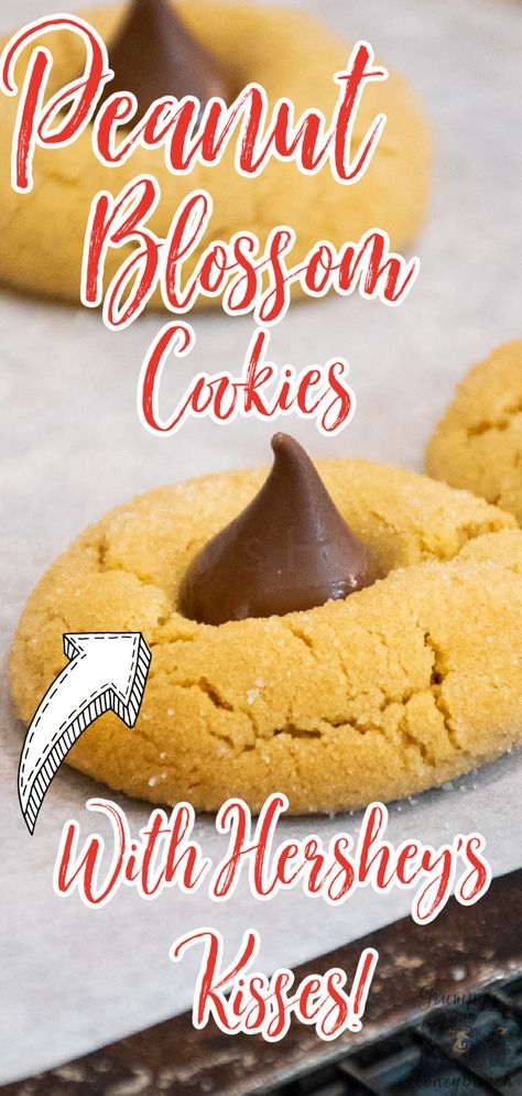 Peanut Cookies With Hershey Kiss, Easy Peanut Butter Cookies With Kisses, Peanut Blossoms Cookies Hershey's Kisses, Peanut Butter Kiss Cookies Recipe, Peanut Butter Cookies With Herseys Kiss, Peanutbutter Cookies With Chocolate Kiss, Peanut Blossom Cookies, Hershey Kiss Cookies, Peanut Butter Kiss