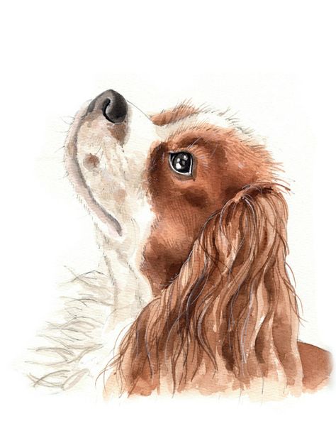 Spaniel Drawing, Cat Drawing Tutorial, Watercolor Paintings Of Animals, Spaniel Art, Animal Portraits Art, Watercolor Dog, Colorful Artwork, Watercolor Inspiration, Dog Paintings