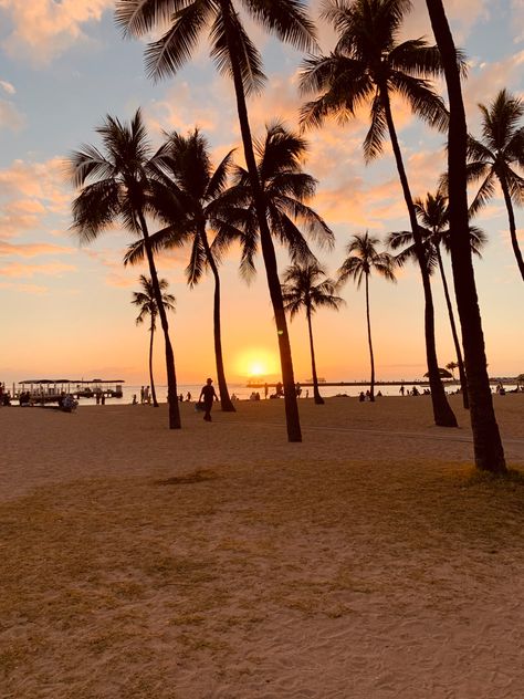 Hawaii Beach Sunset, Hawaii Honolulu Aesthetic, Honolulu Hawaii Photography, Hawaii Waikiki, Hawaii Background, Beach Hawaii, Hawaii Aesthetic Vintage, Hawaii Sunset, Honolulu Aesthetic