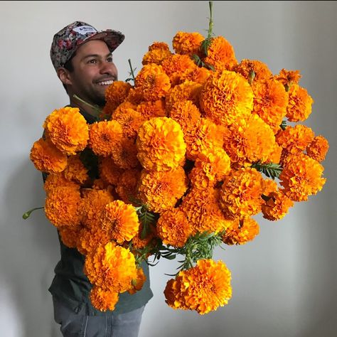 Fall Container Plants, Carl Linnaeus, Fall Containers, Flower Farmer, Flower Hat, Farmhouse Garden, Marigold Flower, Fall Plants, Flower Hats