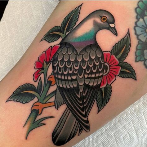 Traditional Dove Tattoo Old School, Two Birds Traditional Tattoo, Neo Traditional Dove Tattoo, American Traditional Pigeon Tattoo, Old School Dove Tattoo, Dove American Traditional Tattoo, Dove Traditional Tattoo, American Traditional Dove Tattoo, Pigeon Tattoo Traditional