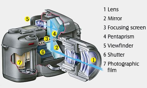 Basic Parts of a Camera and their Functions with Diagram Parts Of A Camera, Canon Camera Tips, Volcano Projects, Photo Course, Camera Parts, Diy Camera, Photography Basics, Camera Hacks, Photography Classes