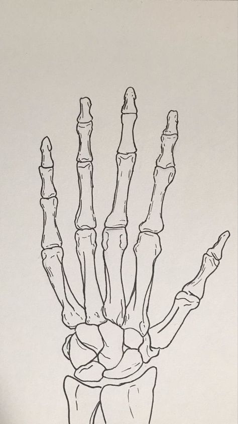 Skeleton Art Drawing, Skeleton Hands Drawing, Bone Drawing, Drawing Painting Ideas, Skeleton Drawings, Meaningful Drawings, Easy Drawings Sketches, Art Drawings Sketches Creative, Dessin Adorable