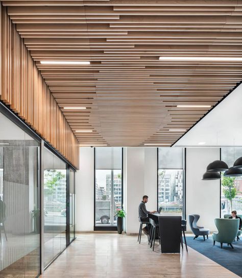 Treasury Dock – Perkins&Will Baffle Ceiling, Atrium Design, Office Ceiling, Cafe Seating, Timber Ceiling, Ceiling System, Timber Panelling, Lobby Interior, Corporate Interiors