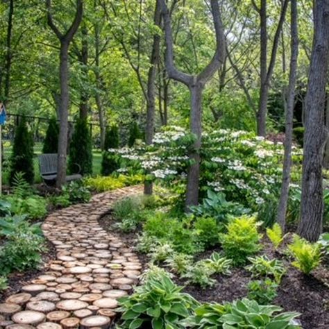 Pretty Pathways, Gardening Photos, Japanese Inspired Garden, Drought Tolerant Shrubs, Fine Gardening Magazine, Japanese Forest, Woodland Walk, Kitchen Wood, Wall Wood