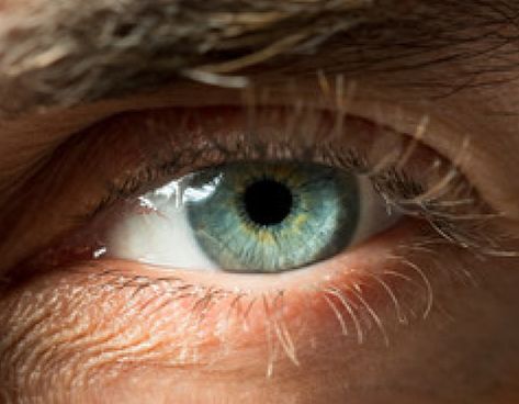 What Is The Rarest Eye Color? | Blog | Eyebuydirect Green Eyes Color Palette, Rarest Eye Color, Eyes Color Palette, Green Eye Color, Green And Blue Eyes, Eye Color Facts, Fingernail Ideas, Rare Eye Colors, Rare Eyes