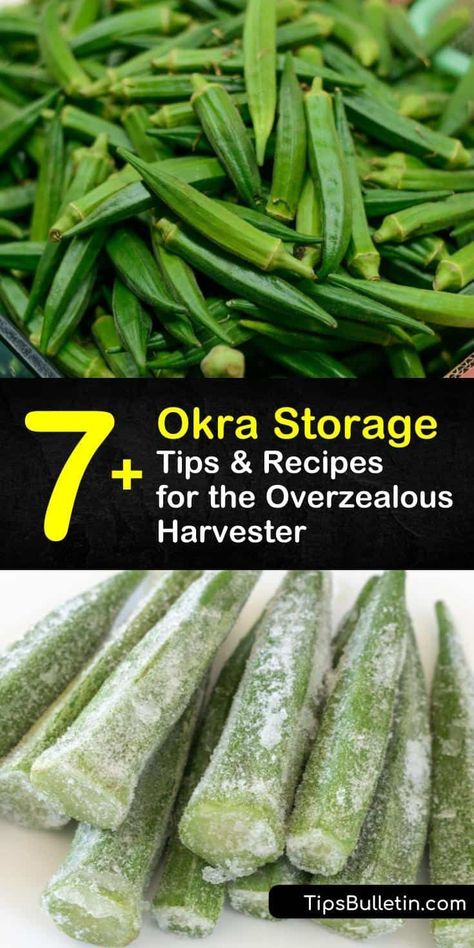 How To Boil Fresh Okra, How To Freeze Okra Whole, How To Store Okra, Pickle Okra, Freezing Veggies, Growing Okra, Fresh Okra, Okra Water, Canned Pickles