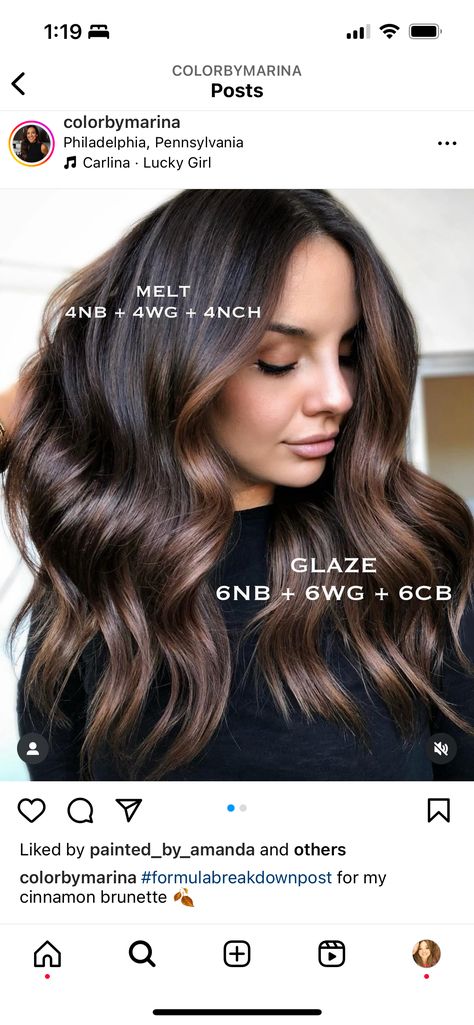 Toning Bleached Hair, Rich Chocolate Brown Hair, Brown Hair Color Shades, Undercut Long Hair, Redken Hair Color, Brown Hair Shades, Redken Hair Products, Guest Hair, Hair Toner