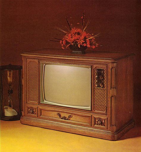 1971 Zenith Color TV-18 | Flickr - Photo Sharing! Liquor Bar, Mighty Oaks, Vintage Television, Television Set, Tv Set, Tv Sets, Tv Furniture, Vintage Tv, Retro Tv