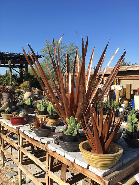 Metal Agave Sculpture, Southwest Yard Decor, Southwest Metal Art, Metal Cactus Garden, Desert Garden Ideas, Metal Cactus Yard Art, Cactus Yard Art, Arizona Landscape Design, Cactus Yard