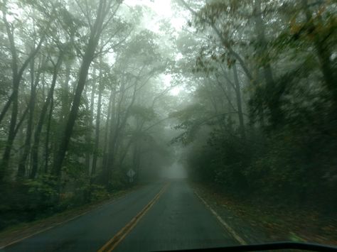 Creepy Forest Creepy Town, Florida Nostalgia, Midwestern Gothic, Creepy Forest, Western America, Mystery Story, Southern Florida, Scary Backgrounds, Creepy Movies