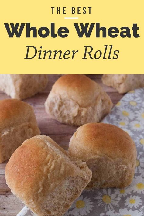 Looking for a healthy dinner roll option? Try my whole wheat dinner rolls. Not only are they fluffy, they are easy to make, contain honey and are eggless! Whole Wheat Dinner Rolls, Wheat Dinner Rolls, Oatmeal Dinner, Wheat Rolls, Whole Wheat Rolls, Dinner Roll, Healthy Honey, Homemade Rolls, Easy Rolls