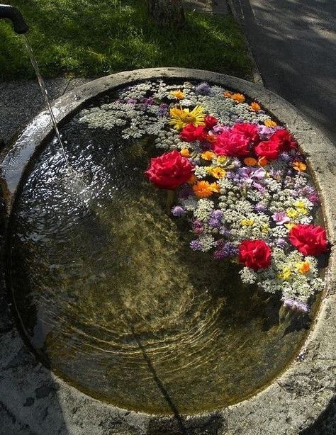 Study Cottagecore, Interior Boho, Flower Bath, Jolie Photo, Nature Aesthetic, Pretty Flowers, Bird Bath, Pretty Pictures, Secret Garden