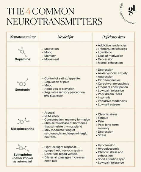 Brain Anatomy And Function, Dream Psychology, Learning Psychology, Ap Psychology, Psychology Notes, Psychology Studies, Basic Anatomy And Physiology, Mental Health Nursing, Mental Health Facts