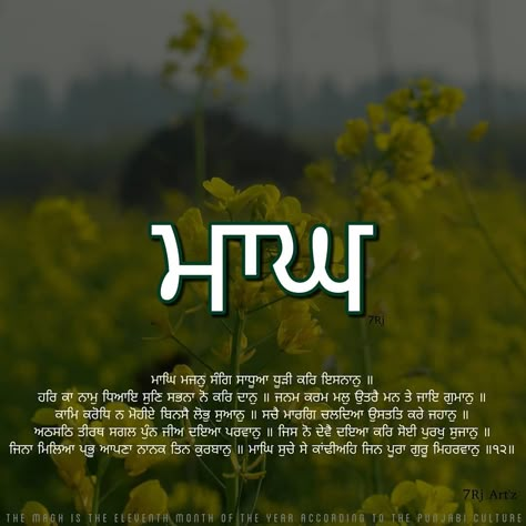 In the month of Maagh, let your cleansing bath be the dust of the Saadh Sangat, the Company of the Holy. Meditate and listen to the Name of… Sangrand Quotes Punjabi, Sangrand Quotes, Gurmukhi Quotes, Granth Sahib Quotes, Cleansing Bath, Guru Granth Sahib Quotes, Quotes Punjabi, Sri Guru Granth Sahib, Month Quotes