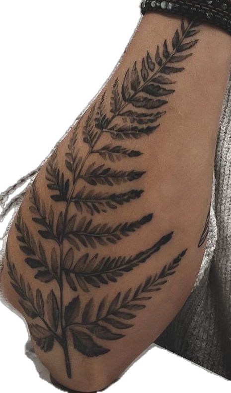 Fiddlehead Fern Tattoo, Fiddlehead Ferns, Fern Tattoo, Badass Tattoos, Feminine Tattoos, Fern, Tatting, Tattoos, Quick Saves