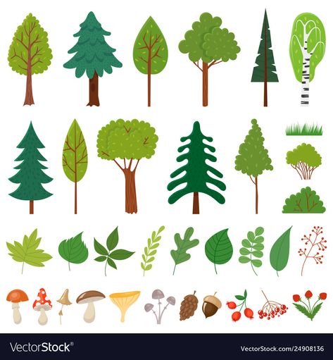 Leaf Identification, Woodland Tree, Banner Drawing, Berry Plants, Pretty Trees, Wild Berries, Wood Trunk, Plant Vector, Holiday Hats