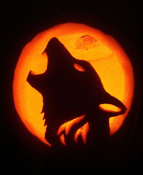 Wolf Pumpkin by Jenya Campbell, via Flickr Wolf Carving Pumpkin, Wolf Pumpkin Carving Ideas, Pumpkin Carving Ideas Wolf, Werewolf Pumpkin Carving, Vampire Pumpkin Carving, Wolf Pumpkin Carving, Werewolf Pumpkin, Wolf Pumpkin, Pumpkin Sculpting