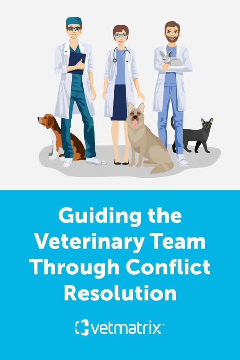 Louise S. Dunn, a veterinary field expert, has partnered with VetMatrix to provide a series of educational blog posts about practice management for veterinarians. Read her second installment to learn the best conflict resolution practices to help your veterinary team improve office efficiency and provide excellent patient care. Vet Med, Practice Management, Veterinary Clinic, Conflict Resolution, Patient Care, Management Tips, Veterinarian, Blog Posts, Resolution