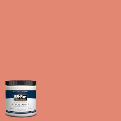 Guava Jam by Behr comes really close to Coral Reef - I have it in my home! Oasis Bathroom, Behr Marquee Paint, Behr Ultra, Behr Premium Plus, Behr Marquee, Behr Colors, Glossy Paint, Paint Sample, Behr Paint