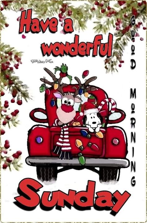 Merry Xmas Greetings, Sunday Christmas, Animated Christmas Card, Good Morning Happy Weekend, Good Morning Rainy Day, Christmas Greetings Quotes, Good Morning Animals, Christmas Sunday, Good Morning Sunday