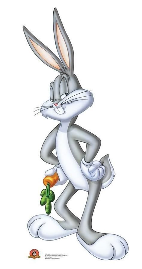 Bunny Cardboard, Bugs Bunny Pictures, Looney Tunes Wallpaper, Old Cartoon Characters, Sylvester The Cat, Looney Tunes Bugs Bunny, Disney Cartoon Characters, Looney Tunes Cartoons, Looney Tunes Characters