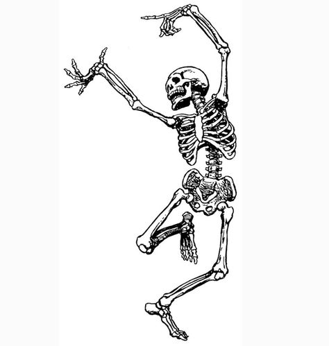 Dancing_Skeleton_Howling_Antiquity_Vintage_Toronto Koloman Moser, Illustration Tattoo, Skeleton Tattoos, Dancing Skeleton, Skeleton Art, Orange Aesthetic, Tattoo Flash Art, Skull Art, A Drawing