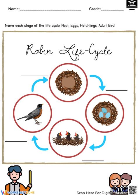 Help students explore the basic stages of a robin bird life cycle through this engaging worksheet. Name each stage of the life cycle with the given word bank. You also can play interactive at our website. Let's check it out! #science #scienceworksheets #birdlifecycle #livingthings #animalslifecycle #lifecycle #stages #lifecycleofabird #birds #robin #printables #worksheet #kidsactivities #birdlifecycleforkids #diagrams #interactive Bird Life Cycle, Life Cycle Worksheet, Birds Robin, A Robin, Robin Bird, Word Bank, Science Worksheets, Cycling Art, Life Cycle