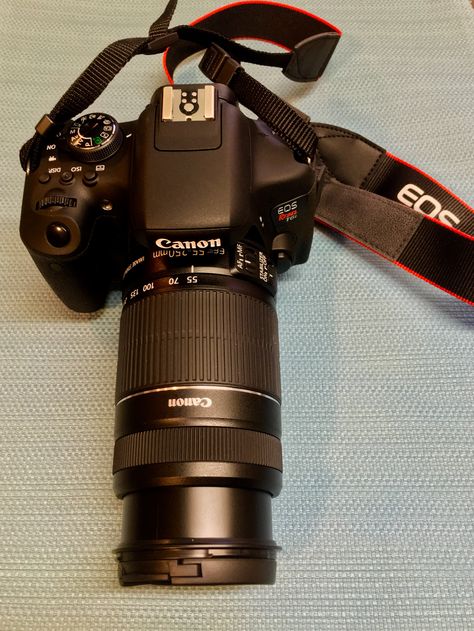 My camera , Canon T6i with 75-300mm lens 300mm Lens Photography, Canon Camera Photography, Camera Lenses Canon, Camera Canon, Canon Lens, Canon Camera, Photojournalism, Cute Couple Pictures, Real Pictures