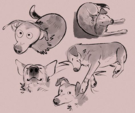 regular george 🏁🦖🏳️‍⚧️ sur Twitter : "i have to draw mabel whenever possible or else i will spontaneously combust https://t.co/8tnD0bACLp" / Twitter Drawing Cartoon Faces, Dog Poses, Cartoon Sketches, Have Inspiration, 캐릭터 드로잉, Dog Illustration, Animal Sketches, Sketchbook Inspiration, Illustration Character Design