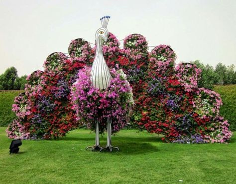 Beautiful Million Flowers, Dubai Garden, Miracle Garden, Topiary Garden, Grass Flower, Plant Images, Most Beautiful Gardens, Flower Sculptures, Wonderful Flowers