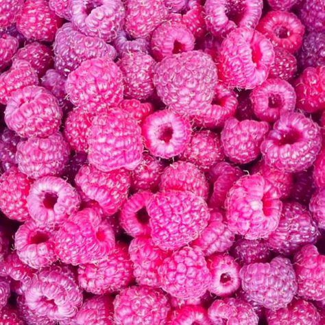 Pink Raspberries Tout Rose, I Believe In Pink, Bohol, Tickled Pink, Everything Pink, Pink Love, Color Rosa, Pink Aesthetic, Wall Collage