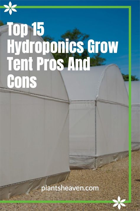 Hydroponics allows persons who live in cities or seasons with harsh weather to the garden yearly around. With grow tents, indoor hydroponic growers can increase their success by growing more crops effectively in limited places. However, there are a few hydroponics grow tent pros and cons you need to be aware of. Grow Tents Indoor, Beginners Landscaping, Vegetable Garden For Beginners, Hydroponic Growing, Air Filtration System, Starting A Garden, Grow Tent, Hydroponics System, Gardening Advice