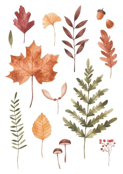 Fall Leaves Drawing, Autumn Illustrations, Autumn Doodles, Leaves Illustration, Diy Watercolor Painting, Leaf Drawing, Fall Watercolor, Green Girl, Watercolor Leaves