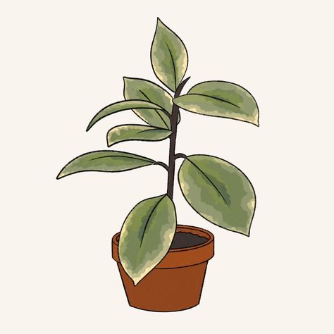 Houseplants Drawing, Doodles Plants, Mom Drawing, Rubber Plant, Plant Mom, Tattoo Inspo, Aesthetic Stickers, Plant Lover, I Said