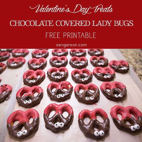 Ladybug Pretzels, Daycare Treats, Bug Valentines, Pretzel Snacks, Valentine's Day Treats, Chocolate Covered Treats, Ladybug Party, School Treats, Valentines Day Desserts