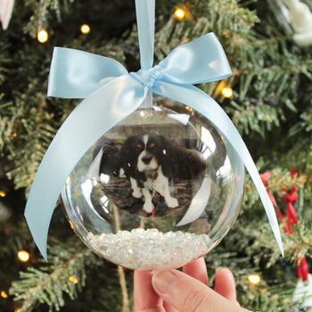 Personalised Family Photo Christmas Bauble By Love Lumi Ltd | notonthehighstreet.com Photo Christmas Tree, Christmas Tree Baubles, Photo Christmas, Christmas Bauble, Pet Photo, Christmas Delivery, Christmas Animals, Diy Christmas Ornaments, Personalized Pet