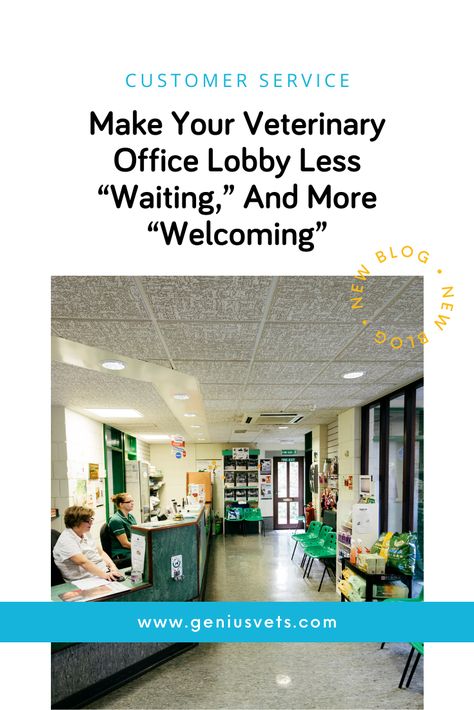 Make Your Veterinary Office Lobby Less “Waiting,” And More “Welcoming” When was the last time you sat in your waiting area and experienced it from your client's POV? It may not be a priority if you are still doing curbside, but this is the perfect time to make updates or move things around, so when you do open up, your waiting area is a breath of fresh air. https://www.geniusvets.com/veterinary-marketing/blog/make-your-veterinary-office-lobby-less-waiting-and-more-welcoming Vet Waiting Room Ideas, Euthanasia Room Vet Clinic, Vet Clinic Lobby, Veterinary Waiting Room, Small Staff Room Ideas, Vet Clinic Ideas, Veterinary Marketing, Vet Office Decor, Veterinary Office