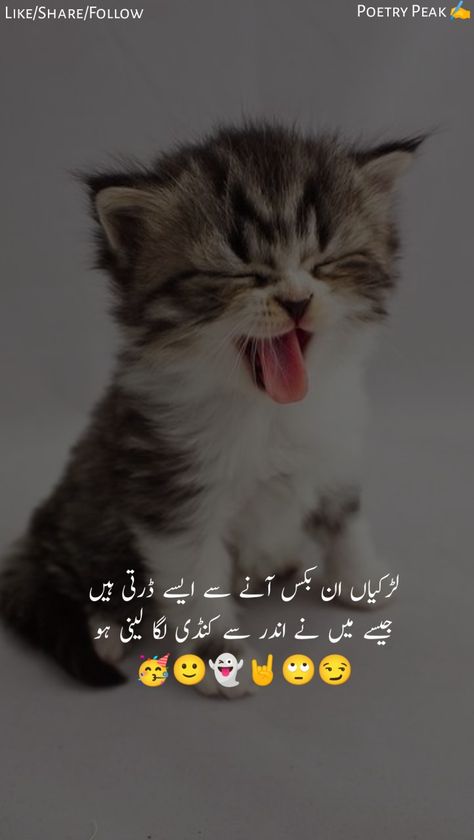 Funny Poetry in Urdu|| Urdu Funny poetry jokes || by Poetry Peak
#fuunypoetry #urdupoetry #urdufunnypoetry #poetryfunnyurdu #jokes #funny jokes #funnyquotes #funnysher #sher Urdu Funny Poetry Pictures, Funny Quotes In Urdu Pictures, Funny Urdu Shayari, Urdu Funny Poetry Jokes, Funny Posts In Urdu, Funny Quotes In Urdu Jokes, Urdu Poetry Funny, Funny Poetry In Urdu, Funny Jokes In Urdu