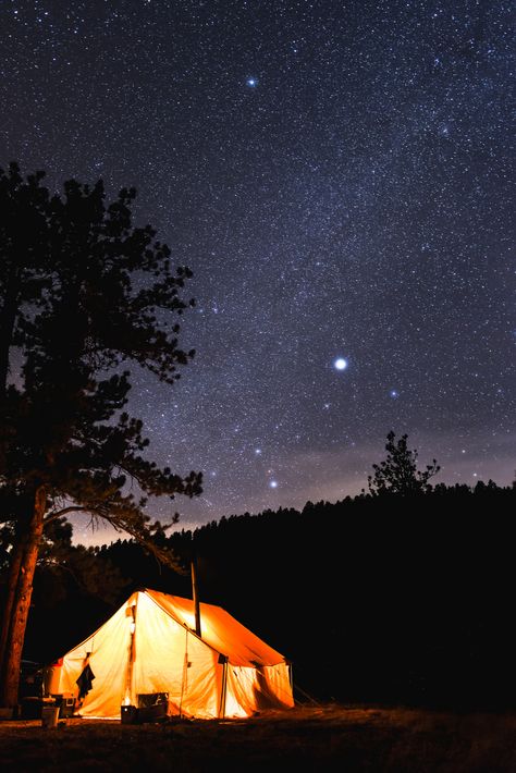 Stars Bedroom, Place Wallpaper, Stars Photography, Stars Aesthetic, Tree Camping, Camping Set Up, Camping Photography, Bushcraft Camping, Camping Glamping