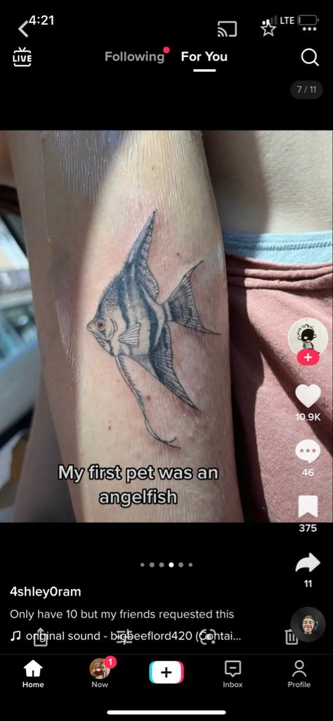 Angel Fish Tattoo, Angelfish Tattoo, Fish Tattoo, Angel Fish, Tattoos And Piercings, Fish Tattoos, Tatting, Piercings, Angel