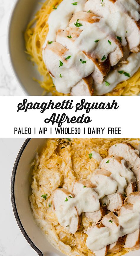 Recipes Spaghetti Squash, Spaghetti Squash Chicken, Spaghetti Squash Chicken Alfredo, Paleo Spaghetti, Recipes Spaghetti, Autoimmune Paleo Recipes, Aip Paleo Recipes, Chicken Alfredo Recipes, Chicken Spaghetti Squash