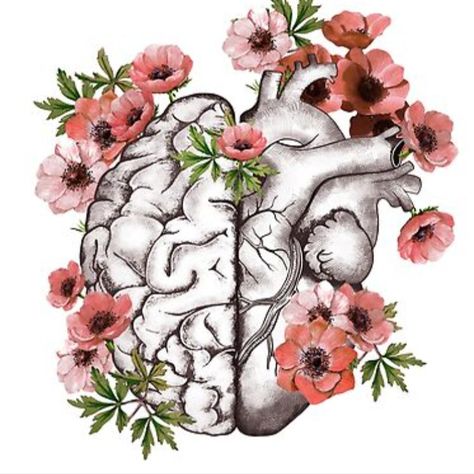 Half heart and brain, right balance between head or brain and heart, drawing red anemones flowers anemoneus Brain And Heart Drawing, Brain Painting, Brain Drawing, Brain Tattoo, Heart And Brain, Red Anemone, Half Heart, Skeleton Sticker, Brain Art