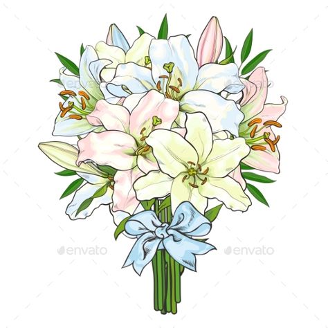 Big bunch, bouquet of lily flowers tied up with light blue ribbon, sketch style, hand drawn vector illustration isolated on white background. Hand-drawn bunch of lily flowers tied up with ribbon Bouquet Of Lily Flowers, Ribbon Sketch, Bunch Of Flowers Drawing, Lilium Flower, Origami Flower Bouquet, Big White Flowers, Flower Bouquet Drawing, Flower Bouquet Painting, Lilies Drawing