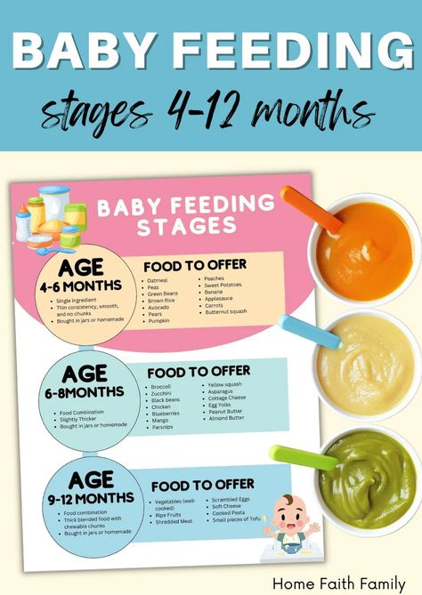 Baby Feeding Stages Chart – Home Faith Family , LLC Baby Food Stages Chart, How Much Should My Newborn Be Eating, When Can Babies Eat Food, Baby Food For 5 Month Baby, Purees For Babies Stage 1, Starting Baby Food At 4 Months, First Purees For Baby, Baby Food Chart By Age Starting Solids, When To Start Baby Food