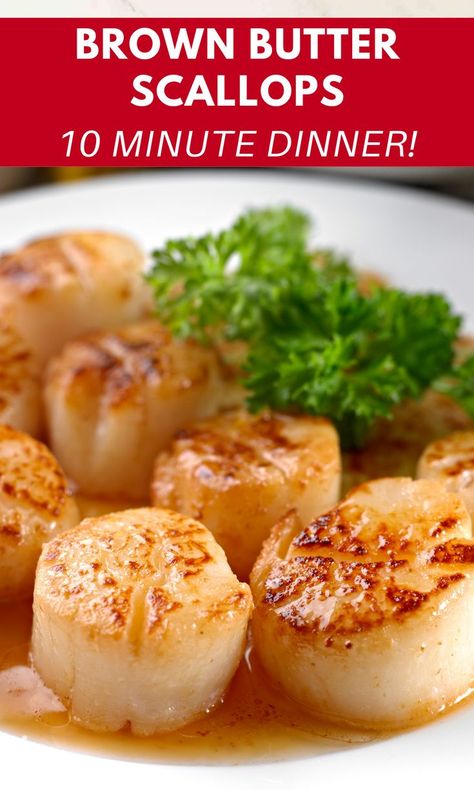 Sauce For Scallops, Brown Butter Scallops, Easy Scallop Recipes, Butter Scallops, Seafood Scallops, Brown Butter Sauce, Pan Seared Scallops, Seared Scallops, Easy Butter