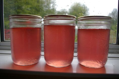 Lavender Jelly, Lavender Recipes, Canning Jam, Homemade Jelly, Jelly Recipe, Dried Lavender Flowers, Jam And Jelly, Jelly Recipes, Home Canning