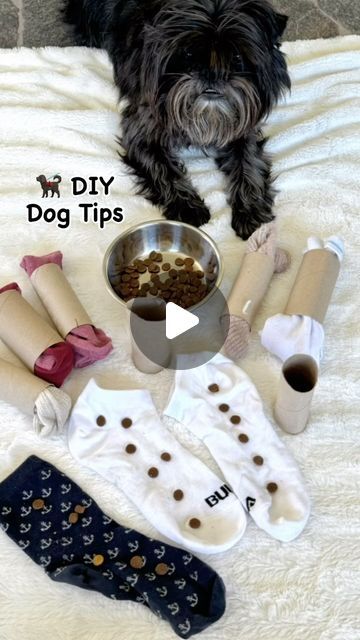 Nina Ottosson on Instagram: "🐕‍🦺 Dog DIY Tips 🧩 Recycling your old socks and toilet rolls, by hiding treats inside.  🐕‍🦺 I love find different ways to challenge my dogs mind, and if your dog like this, they will definitely like puzzles as well 🧩  👉 Feel free to share if you like it 🧩 / Nina 👋  #ninaottosson #dogdiy #diy #dogs #puppy #dogpuzzle #dogenrichment #pets #ninaottossondogtips" Dog Toys From Socks, Dog Treat Puzzle Diy, Diy Dog Socks, Puppy Puzzle, Dog Minding, Dog Diy, Dog Enrichment, Dog Puzzles, Dog Socks